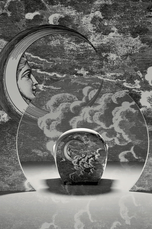 Fornasetti x Vanity Fair XC Armchair - Limited Edition