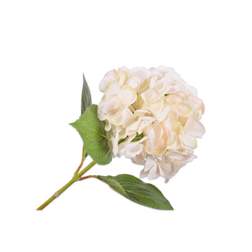 Hydrangea Stem Cream 65 cm