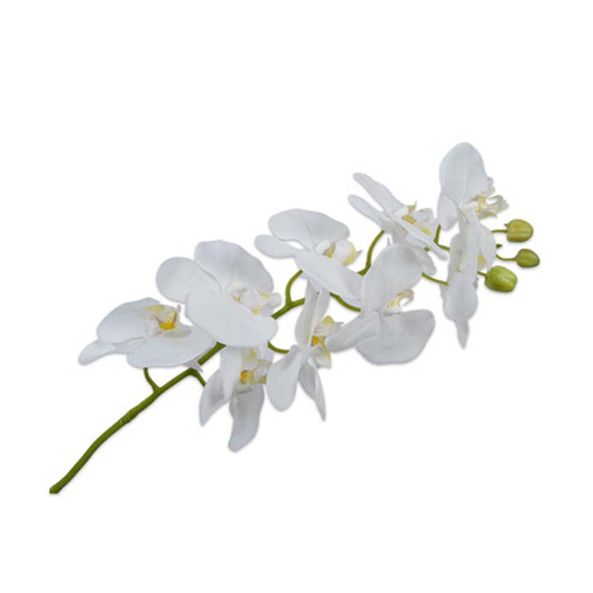 Orchid Stem 100 cm
