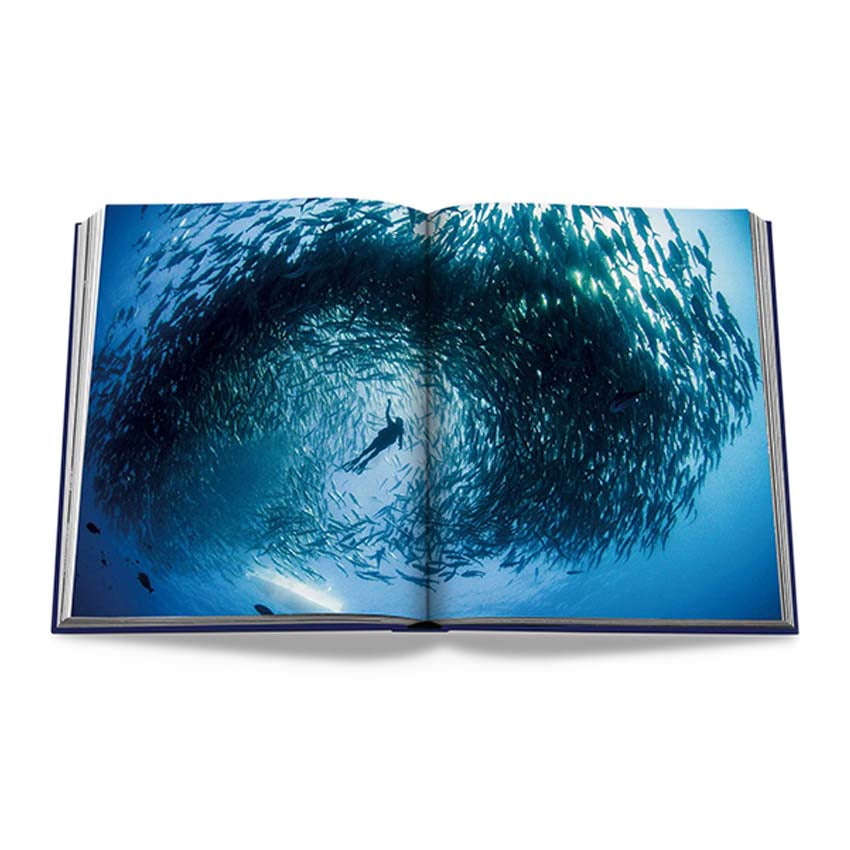 Ocean Wanderlust