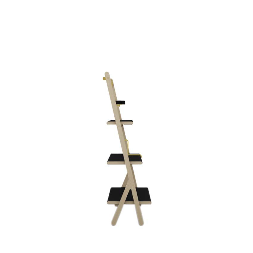 Ren Low Bookcase