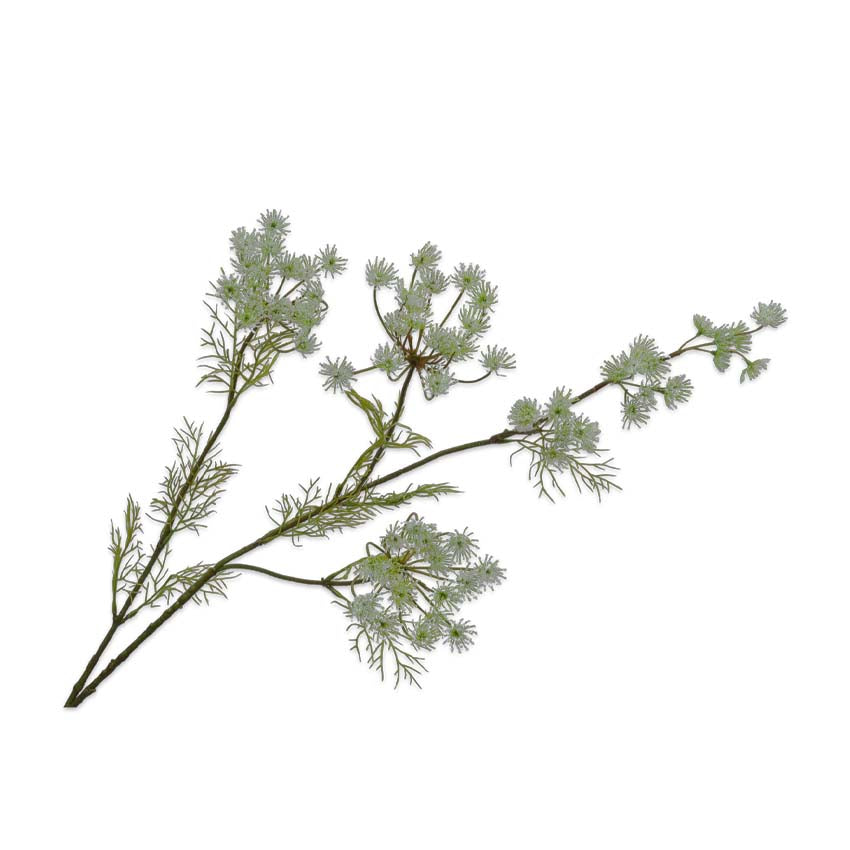 Queen Lace Spray 120cm