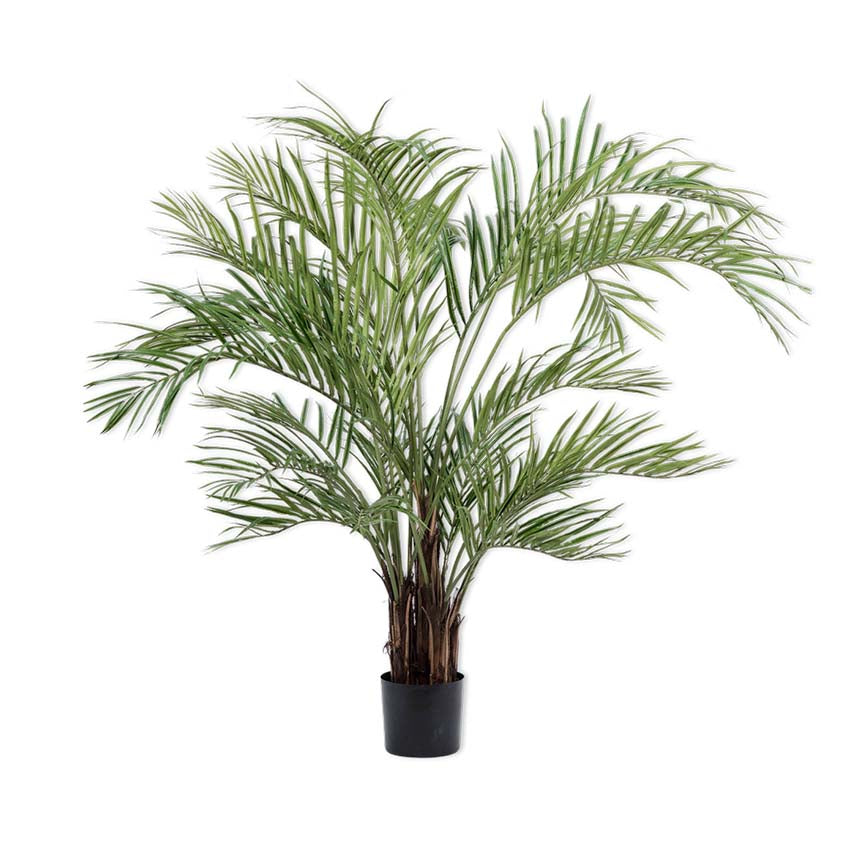 Palm Green 230cm