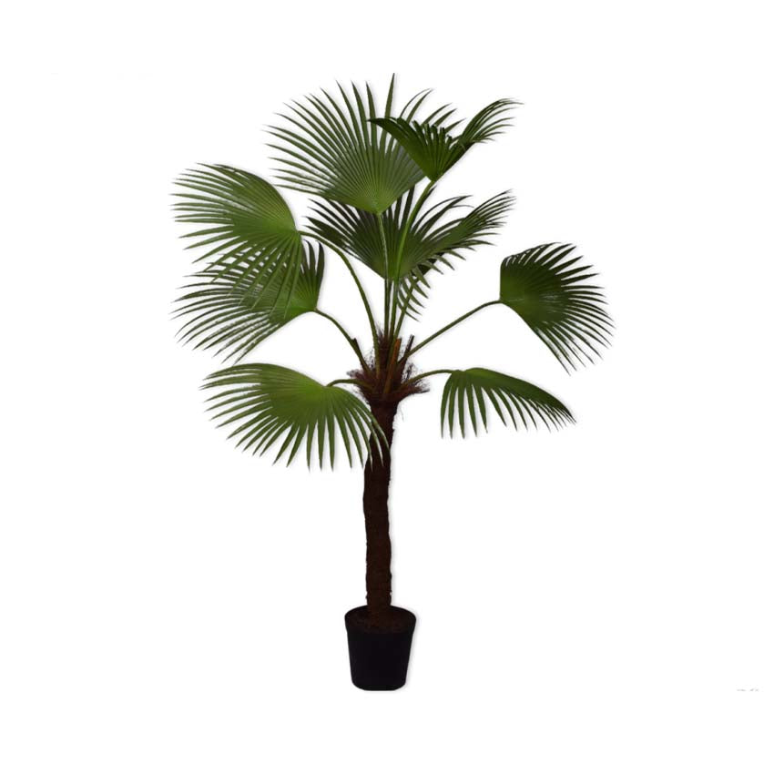 Palm Green 203cm
