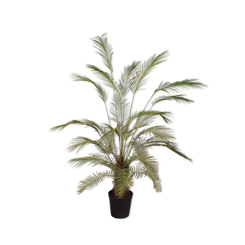 Palm Green 182cm