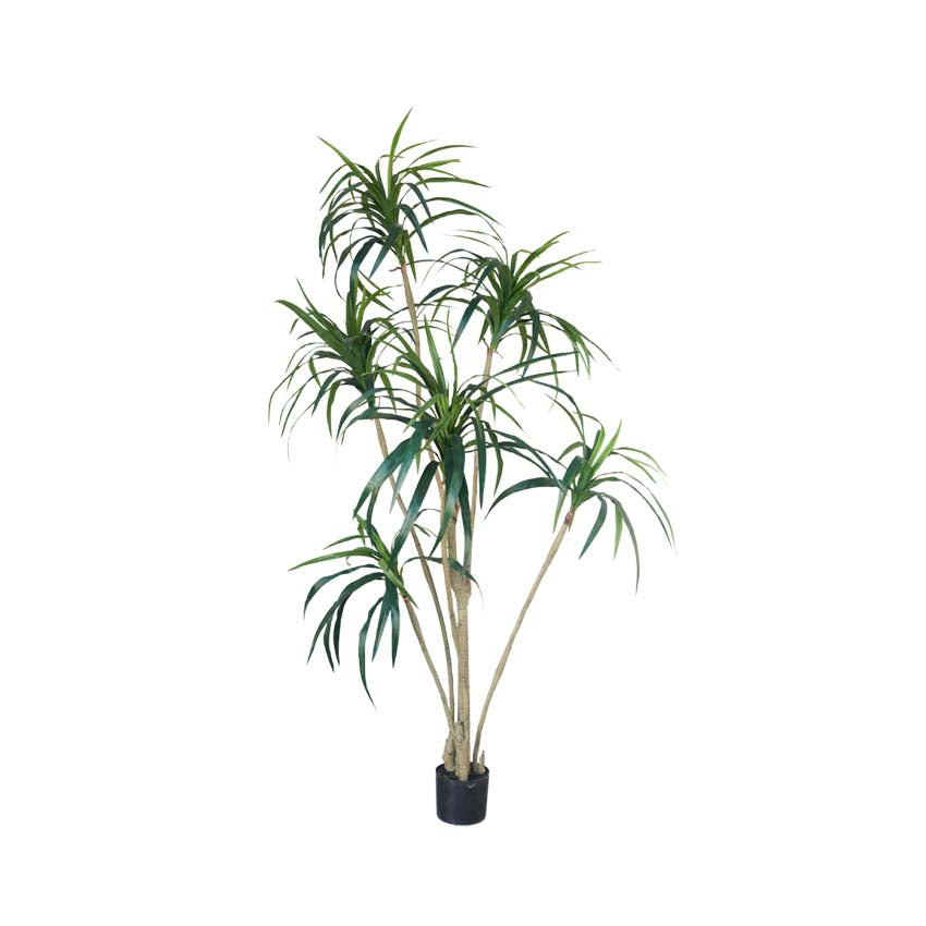 Yucca Green 213cm