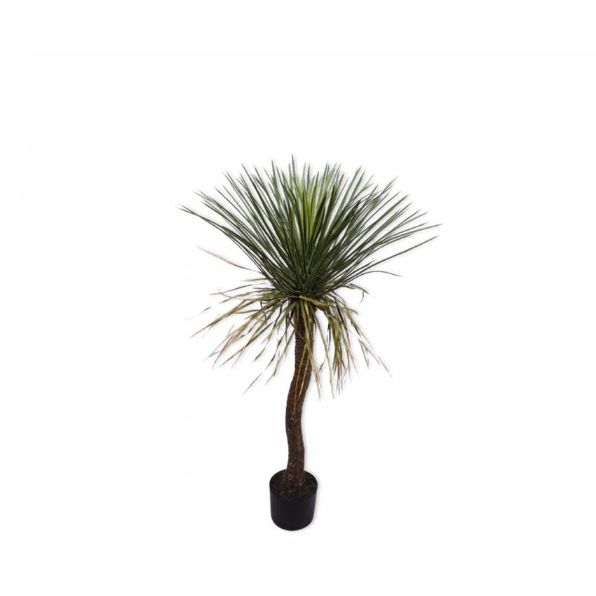 Yucca Green 106cm