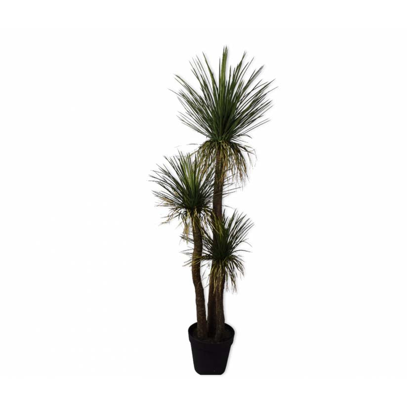 Yucca Green 180cm