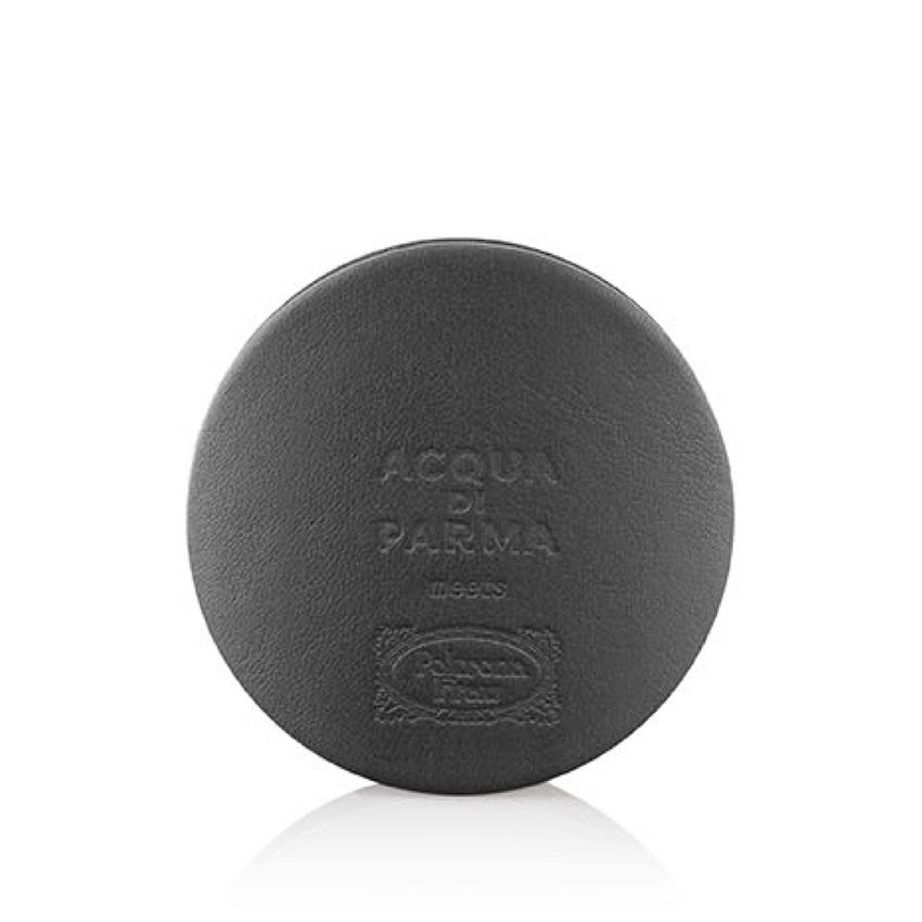 Car Diffuser (Case only)