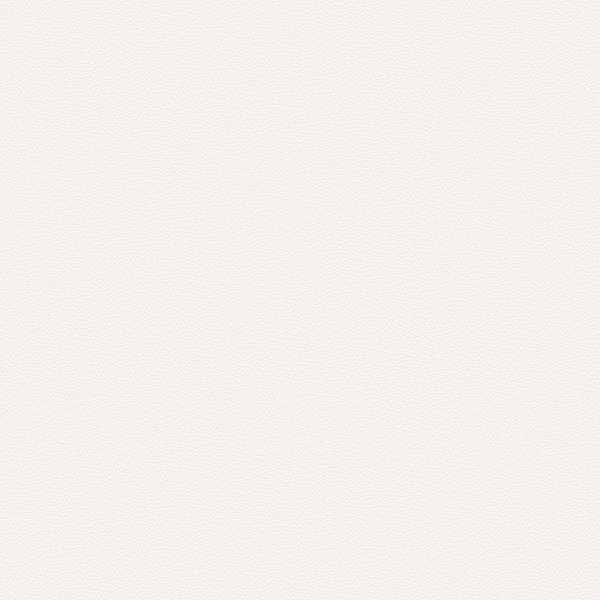 Jobs Wall Bookcase 234 x 145