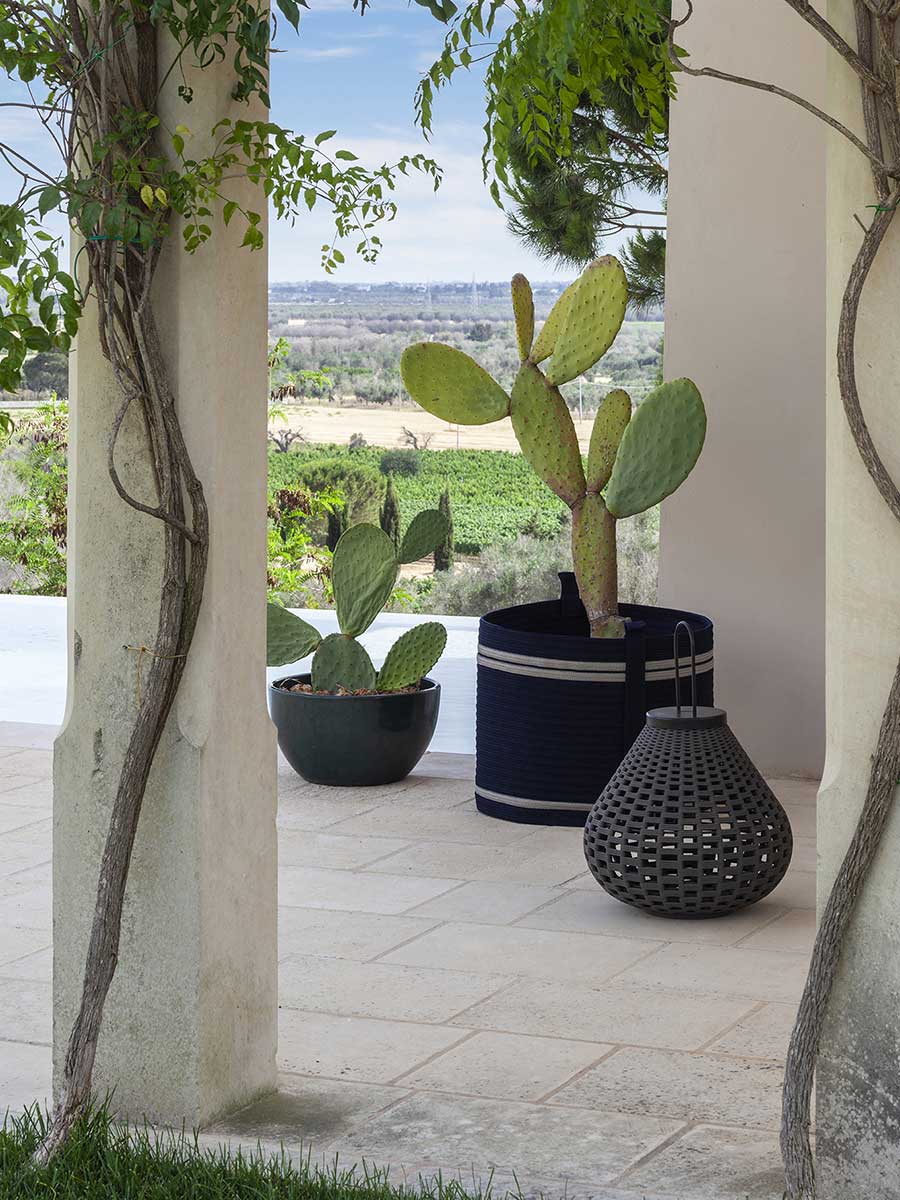 poltrona frau sherazade basket