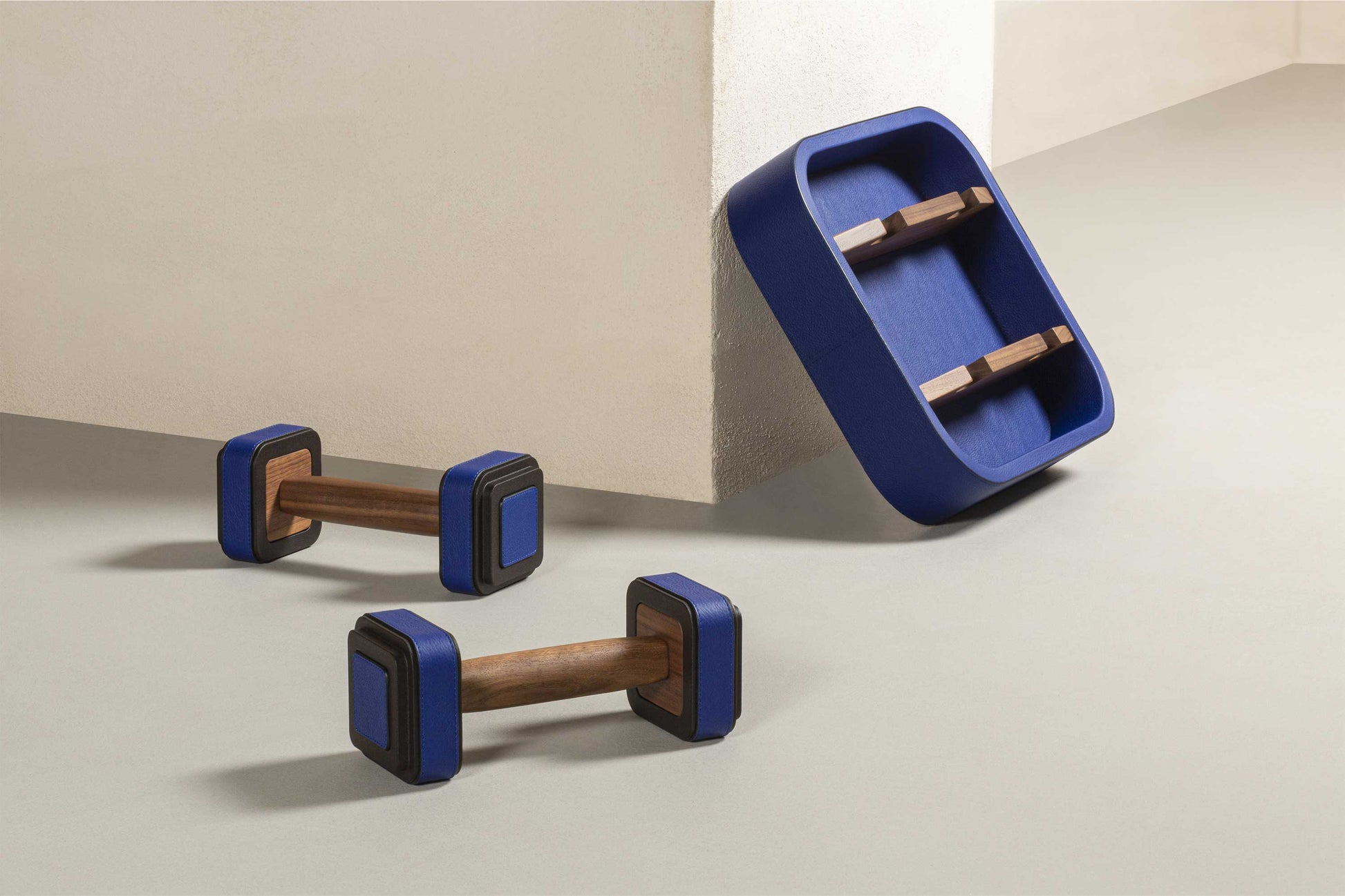 Fitness Collection Set Of 2 Dumbbells