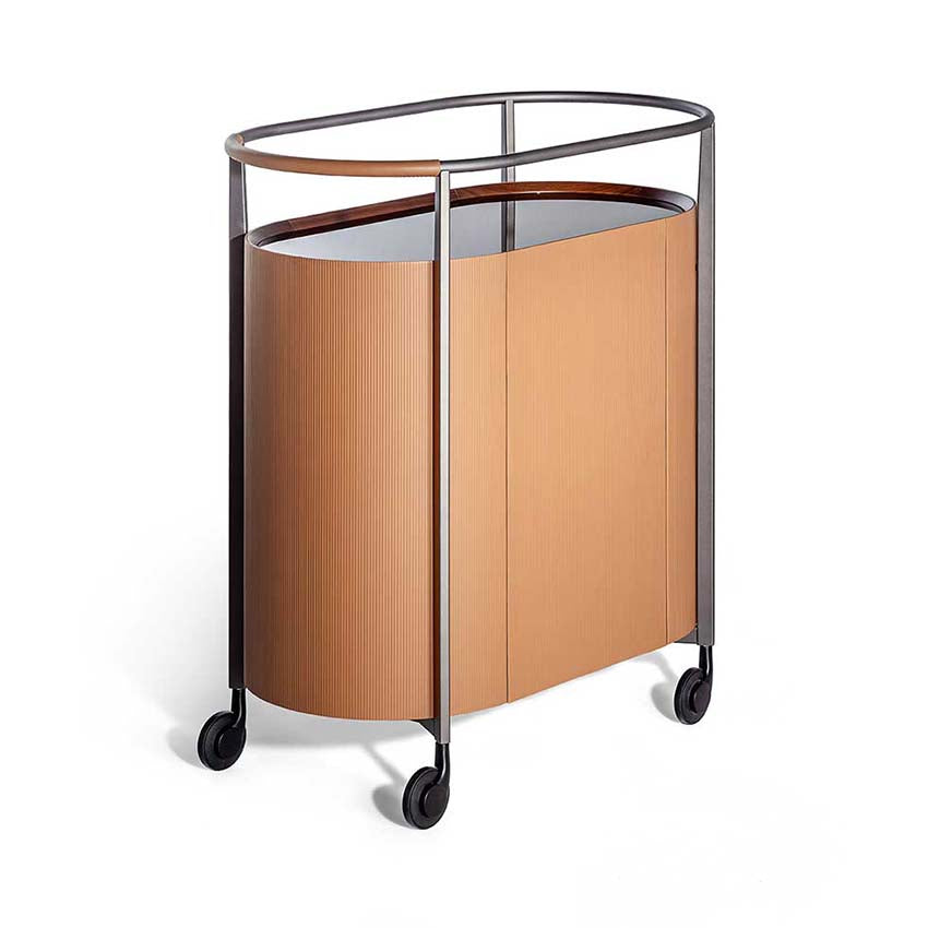 Mi Trolley