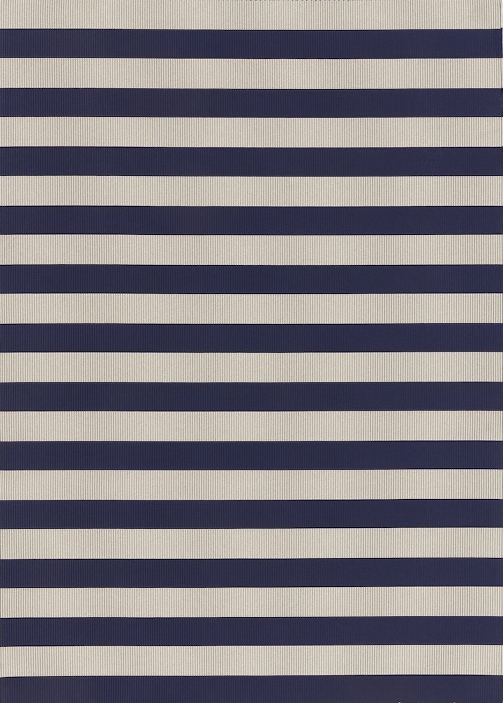 Big Stripe IN/OUT