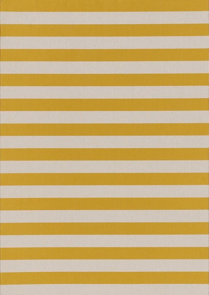 Big Stripe IN/OUT