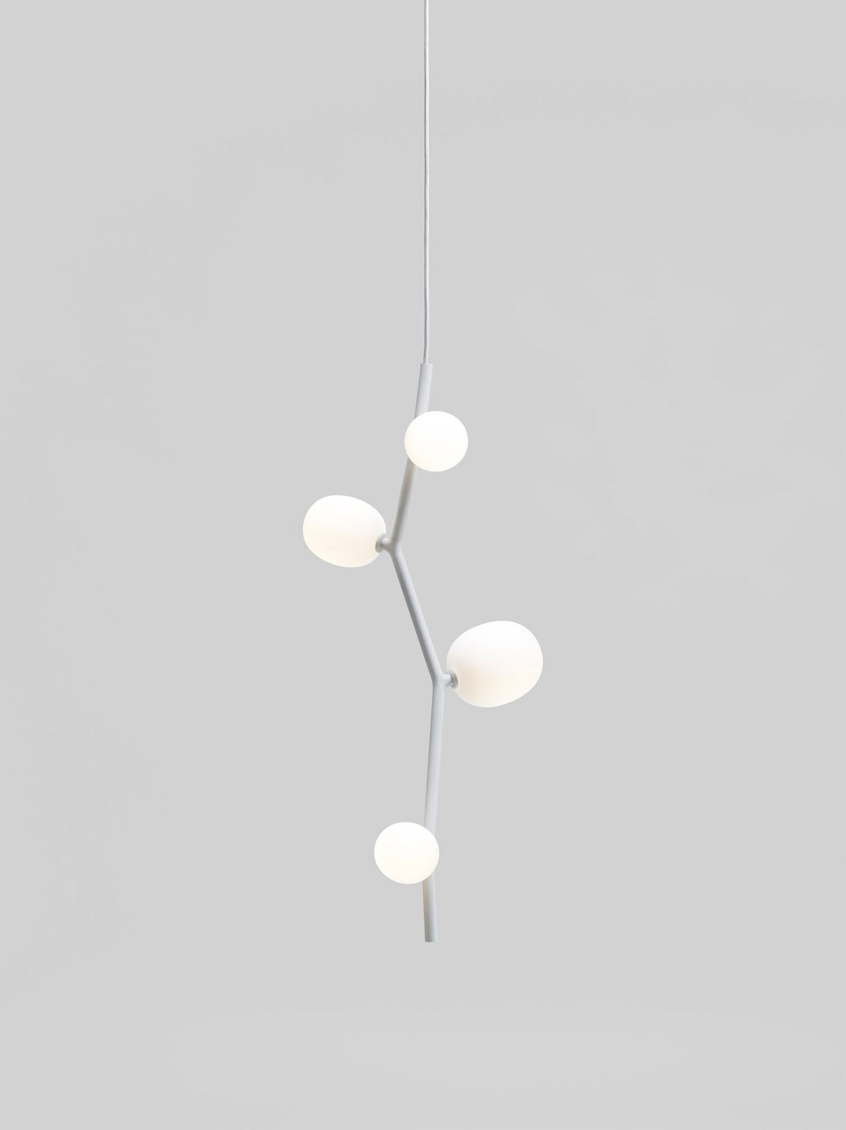 IVY VERTICAL