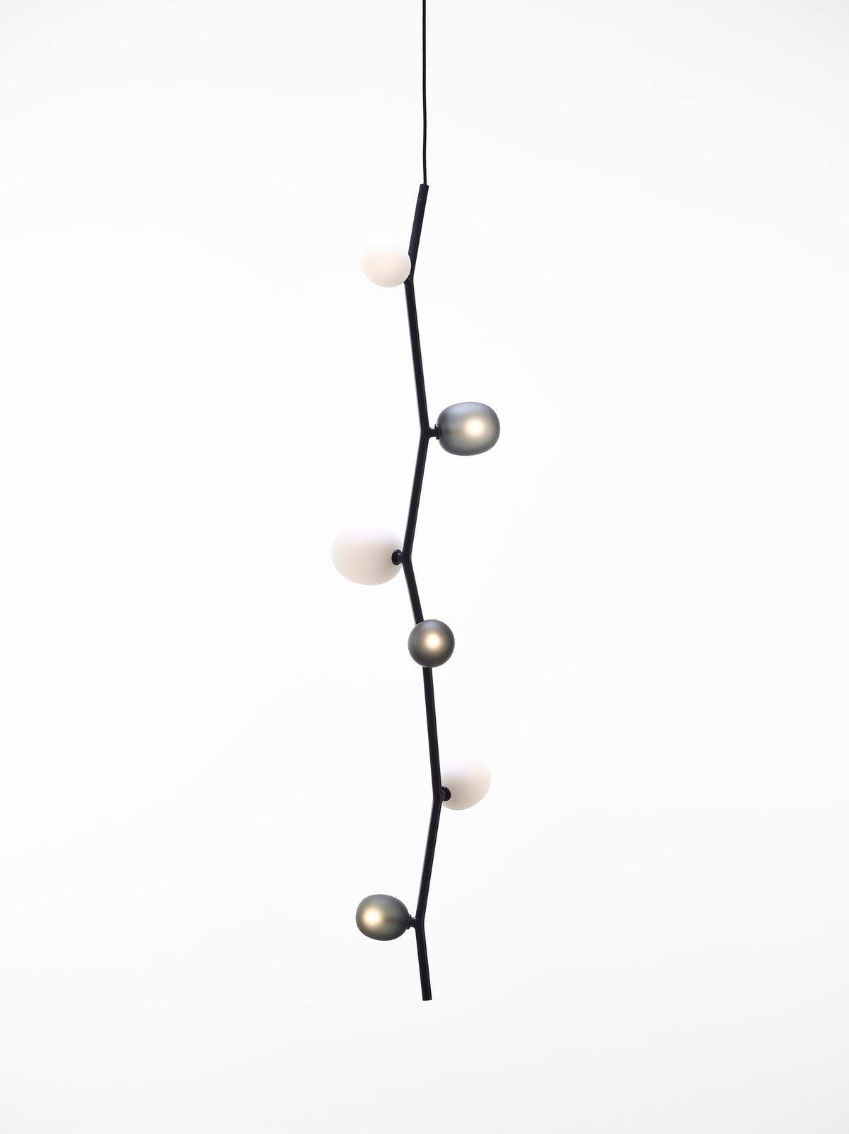 IVY VERTICAL