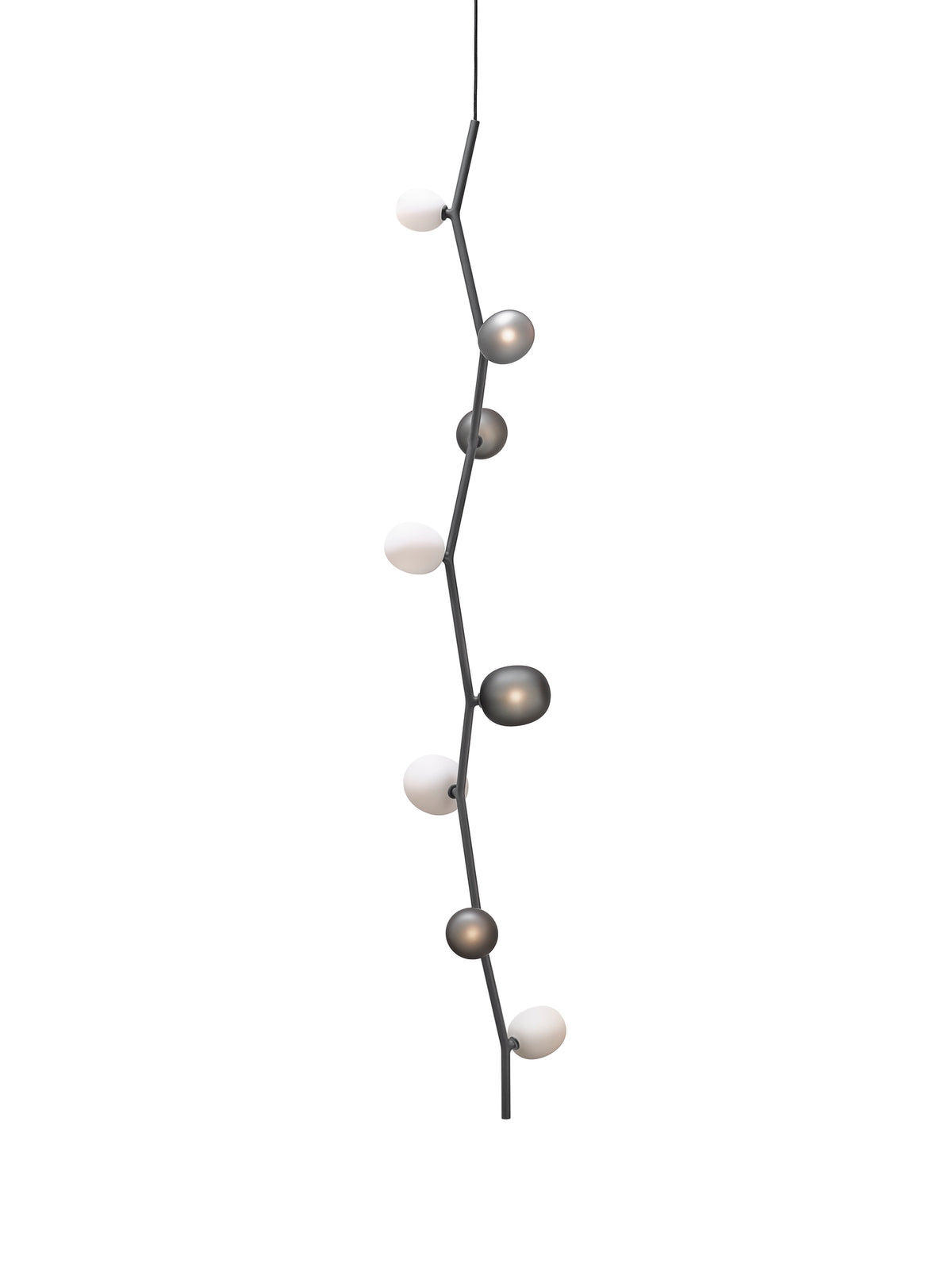 IVY VERTICAL