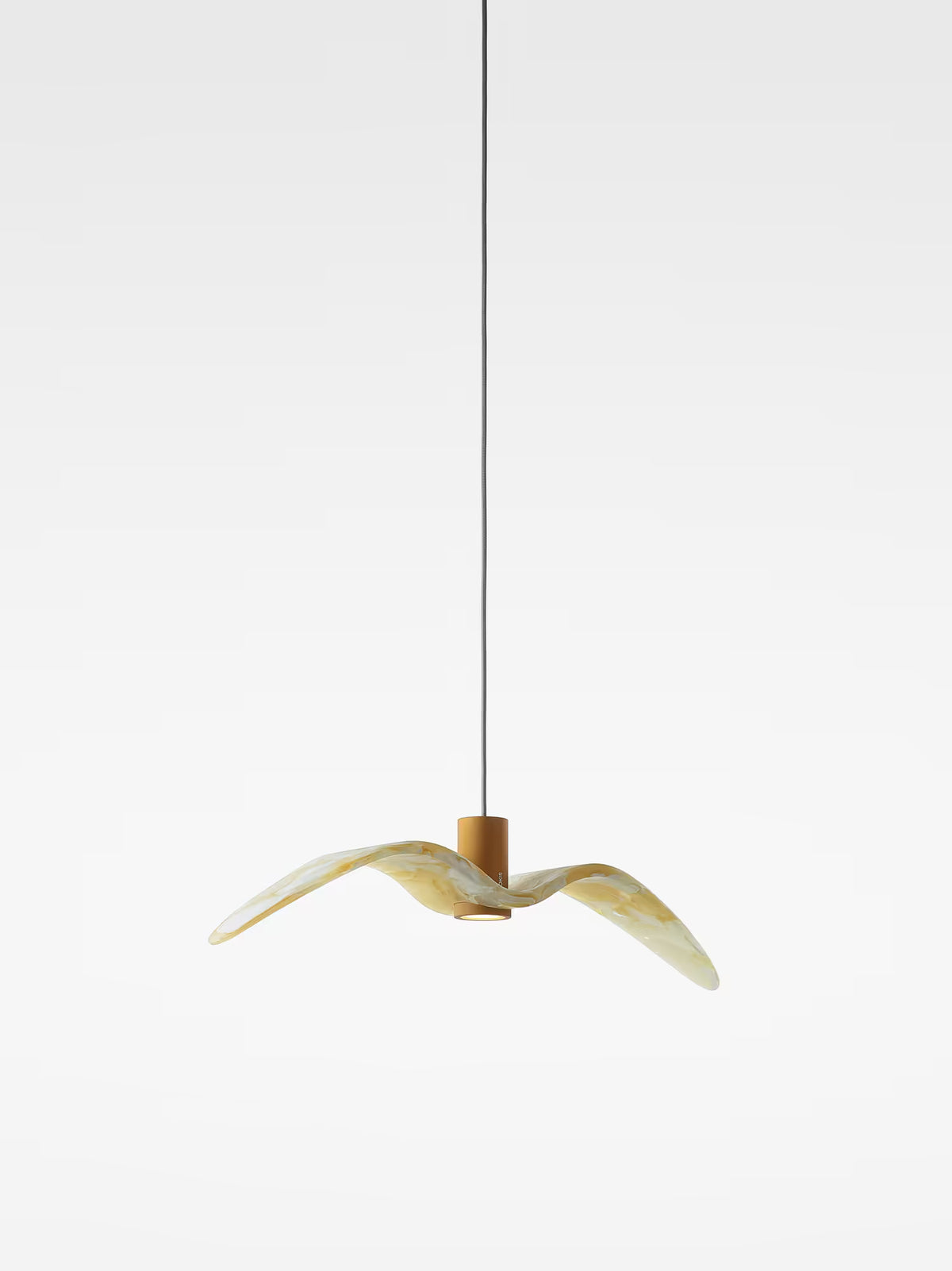NIGHT BIRDS EXTERIOR