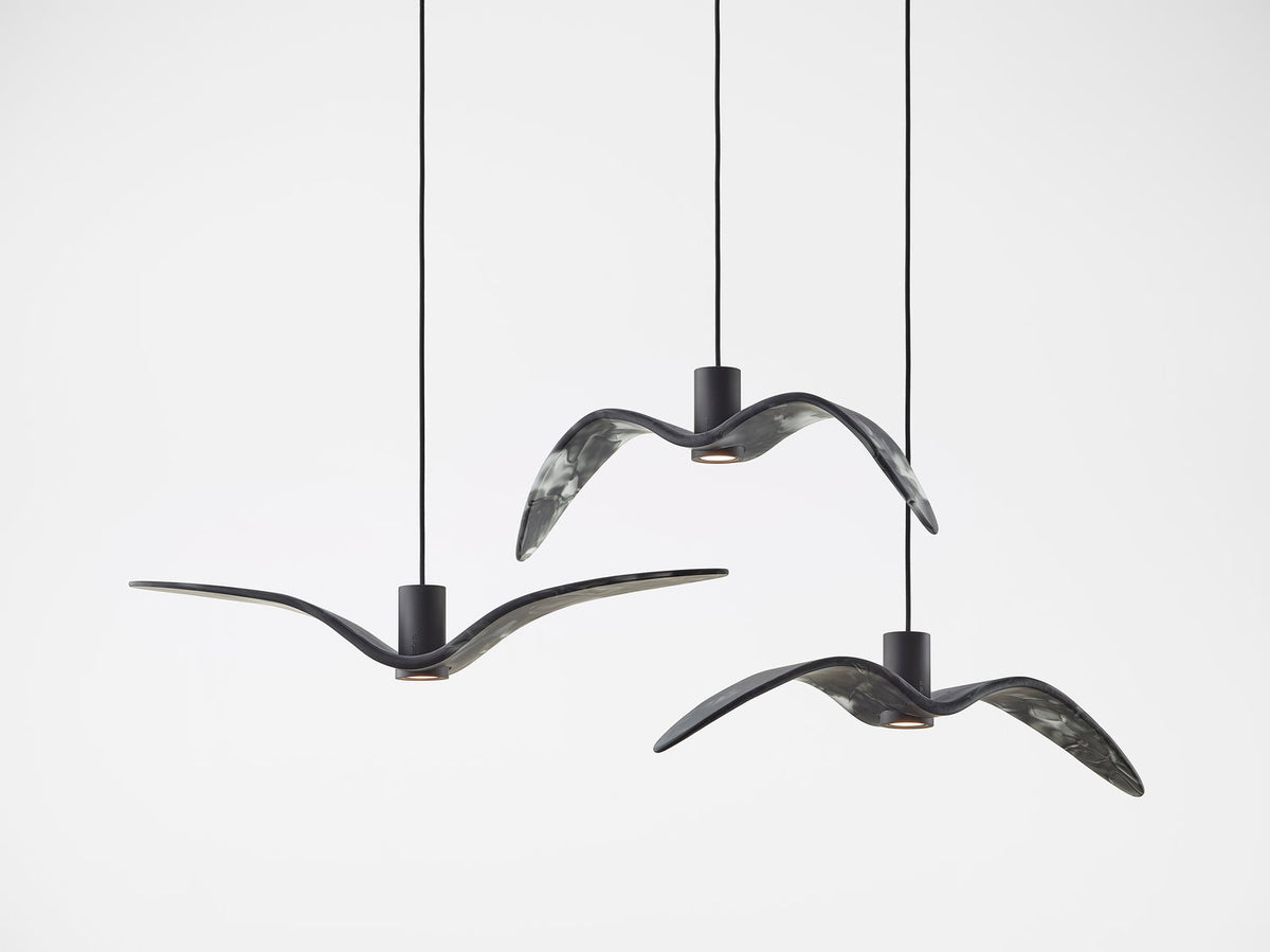 NIGHT BIRDS EXTERIOR