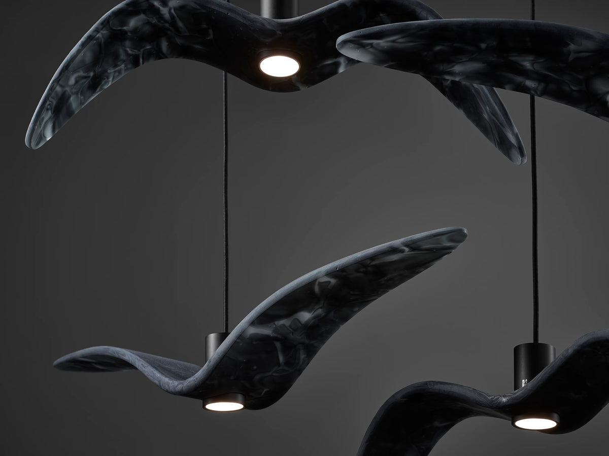 NIGHT BIRDS
