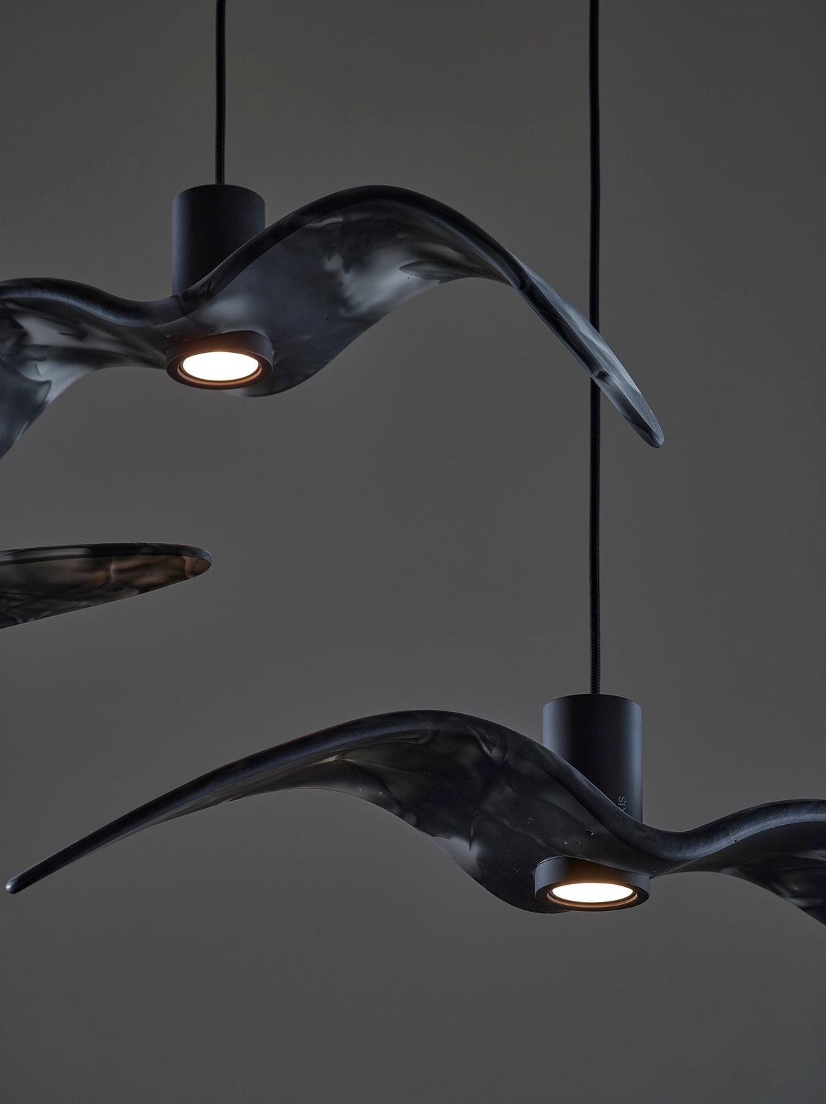 NIGHT BIRDS EXTERIOR