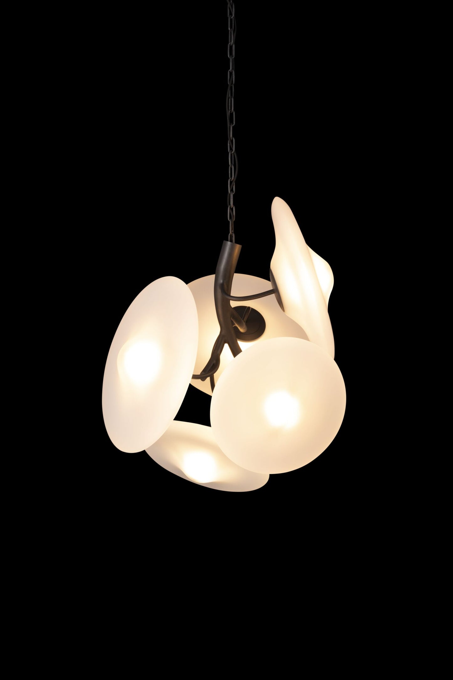 Blossom Chandelier Round