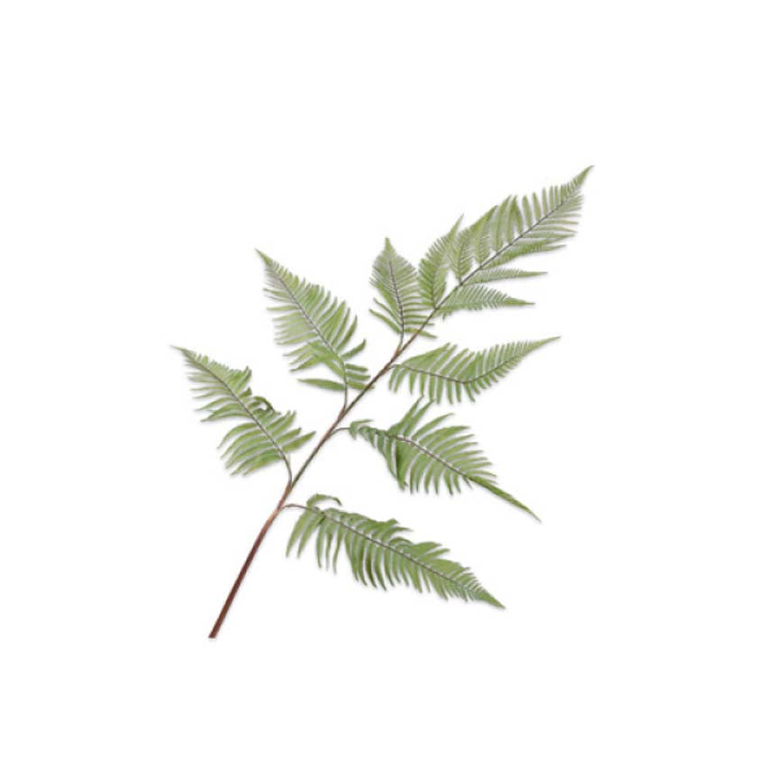 Fern Spray Green 137 cm