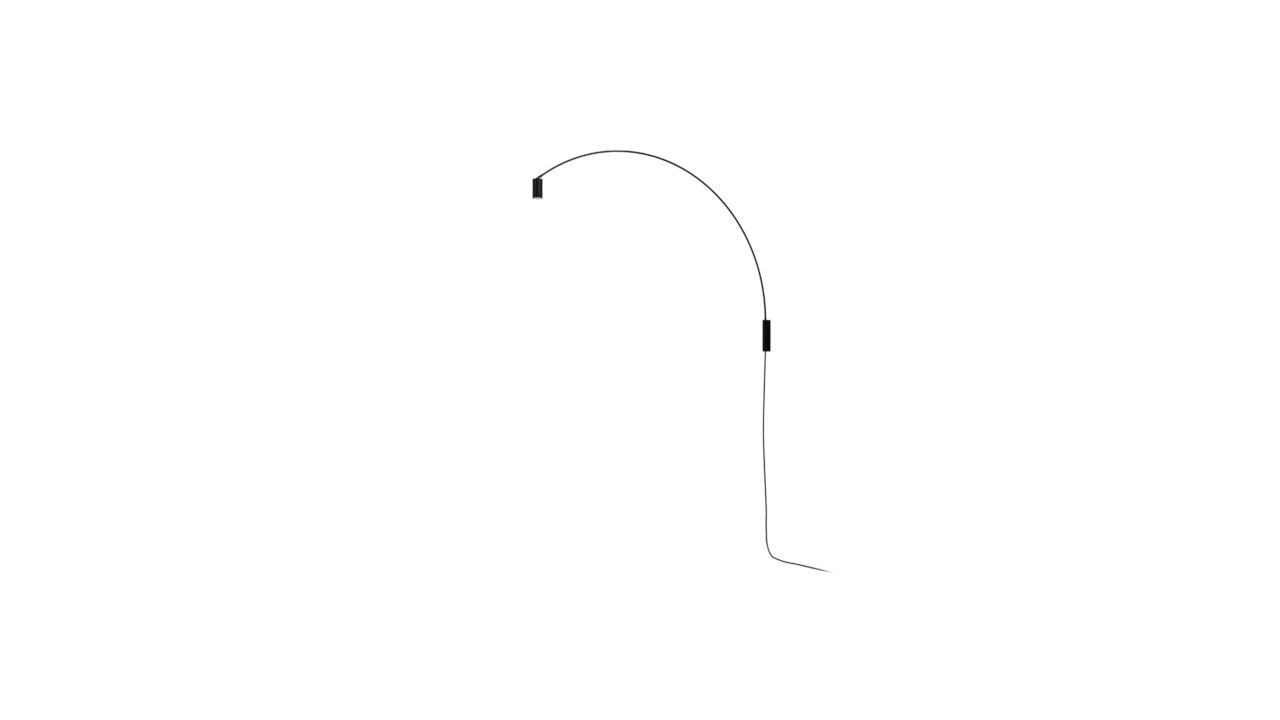Fox Wall Light