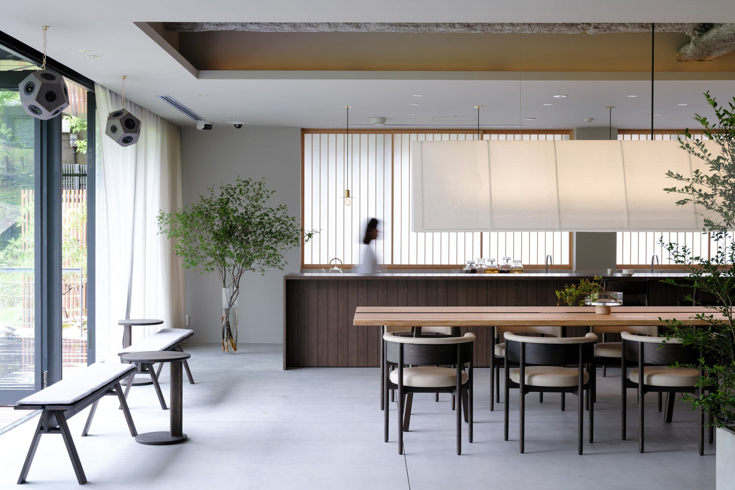 N-SC01 Dining Chair