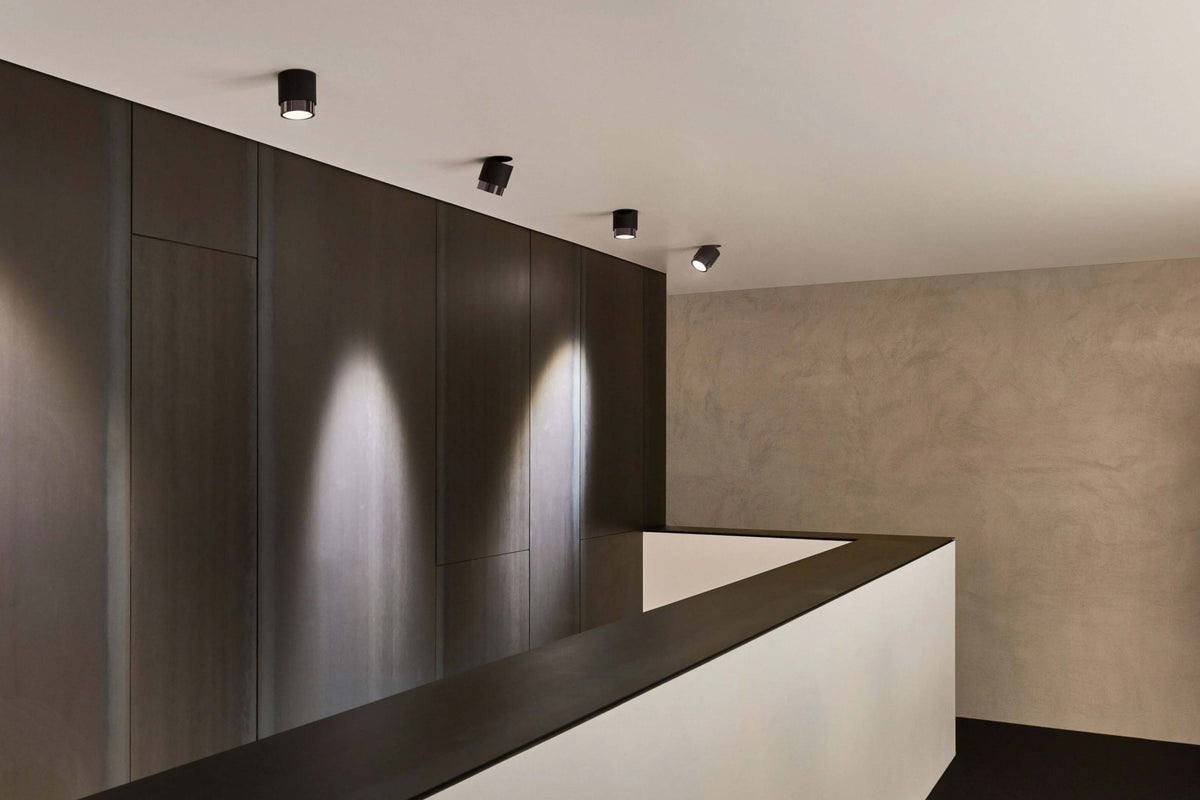 Lui Alto Spotlight