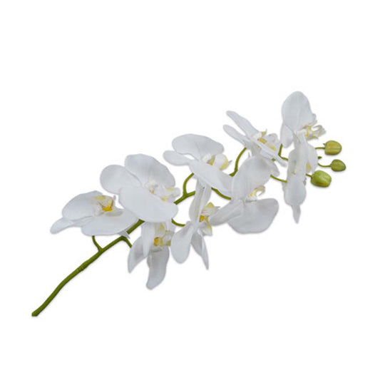 Orchid Stem 100 cm