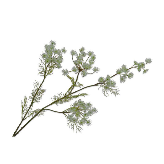 Queen Lace Spray 120cm