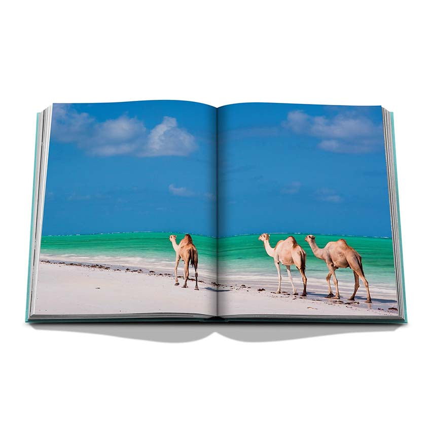 Red Sea: The Saudi Coast