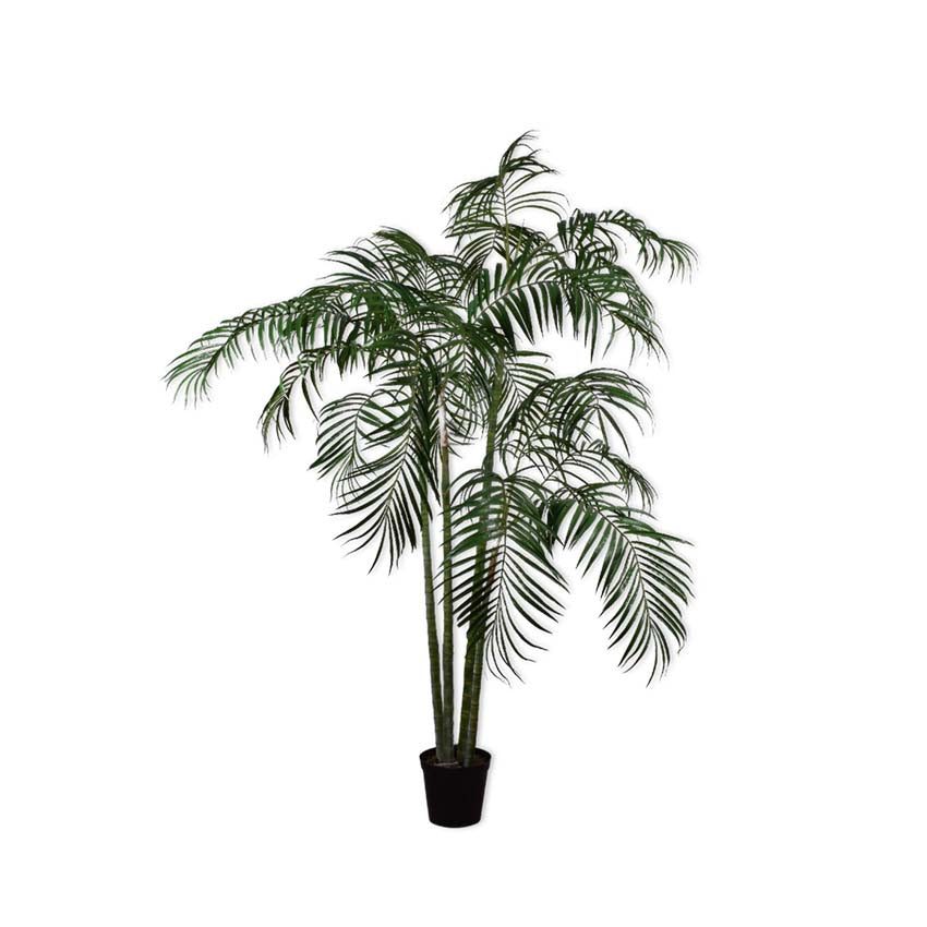 Palm Green 274cm