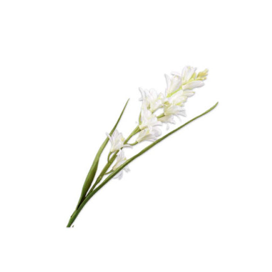Tuberosa Stem 76 cm