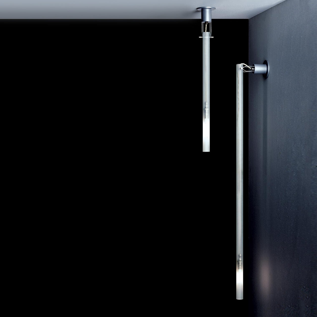 Canna Nuda Wall / Ceiling Light