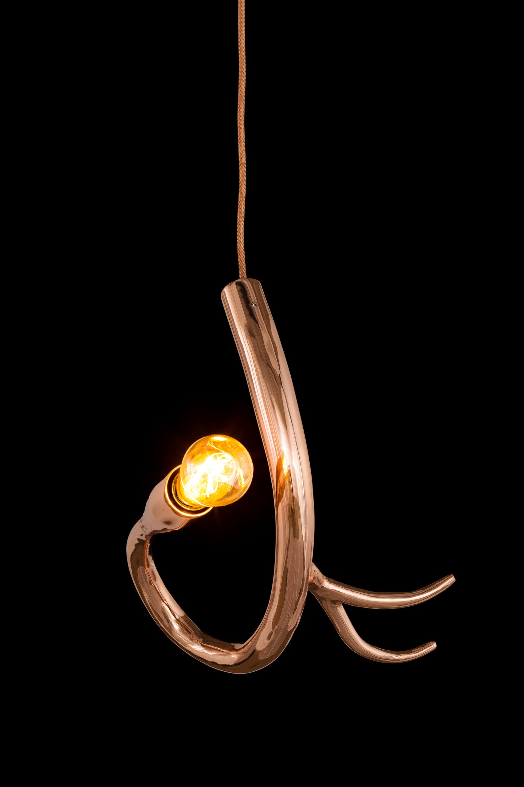 The Legends Edison’S Tail
