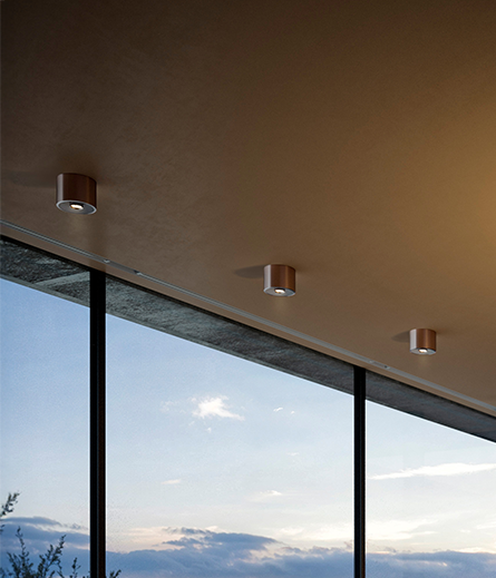 Coro Alto Spotlight