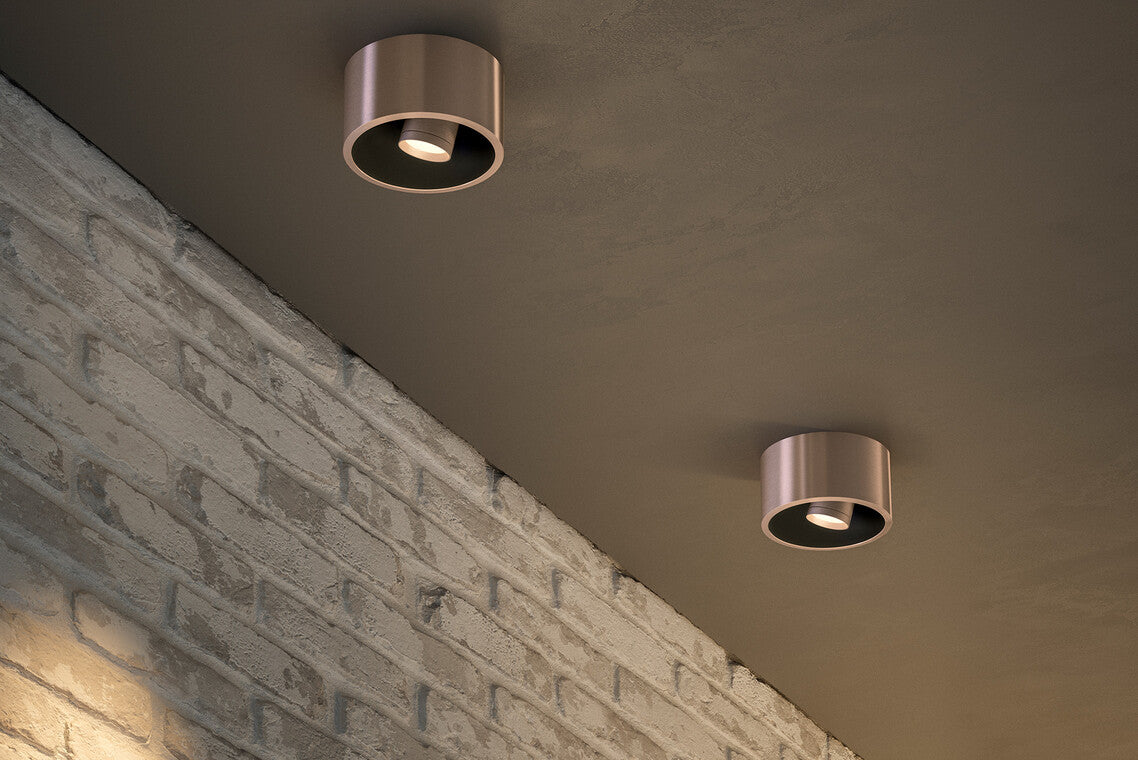 Coro Alto Spotlight