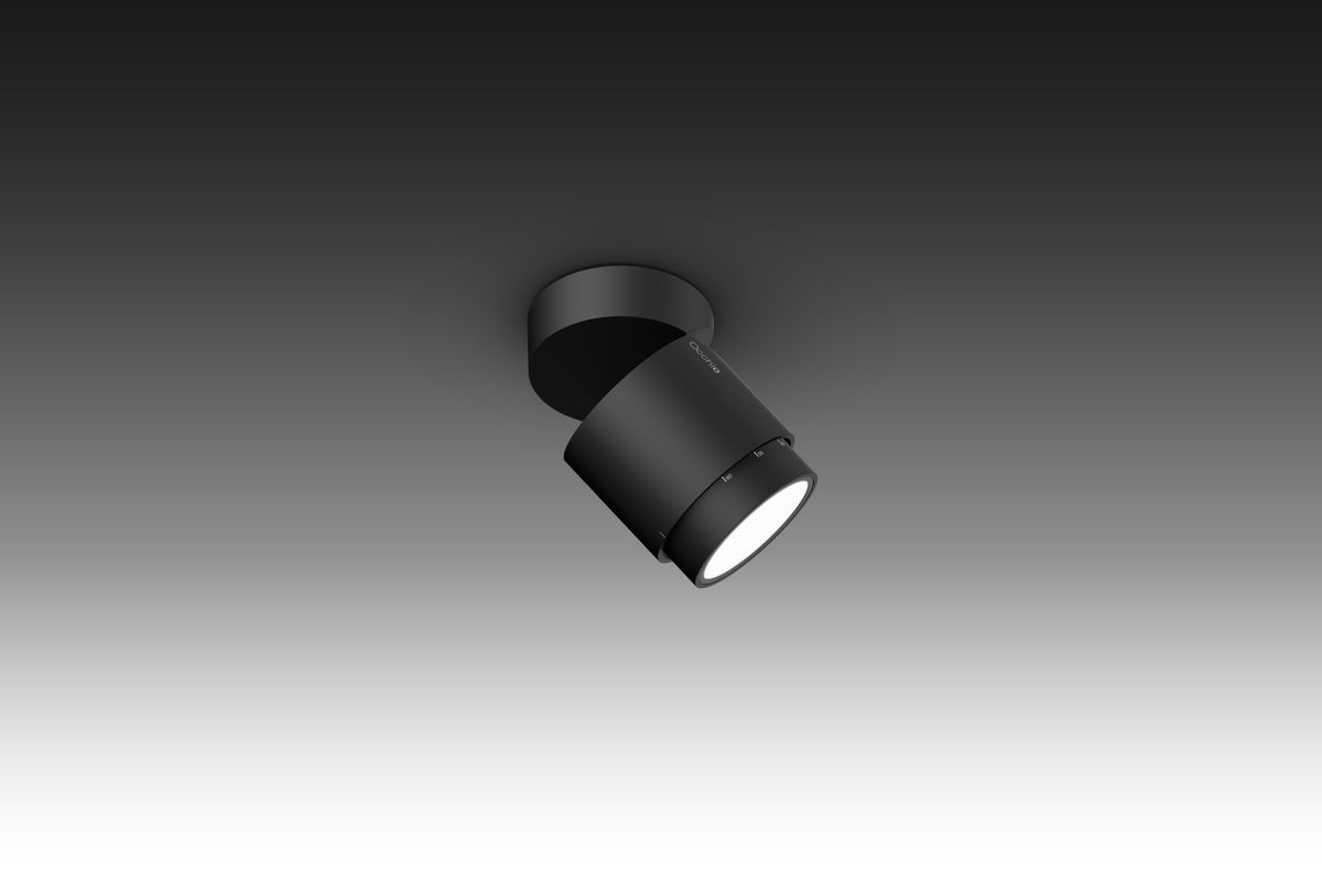Lui Volto Spotlight